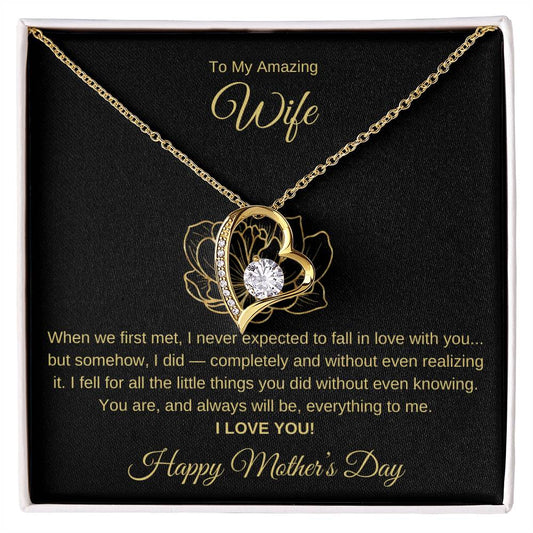 TO MY AMAZING WIFE - YOU ARE, AND ALWAYS WILL BE, EVERYTHING TO ME!