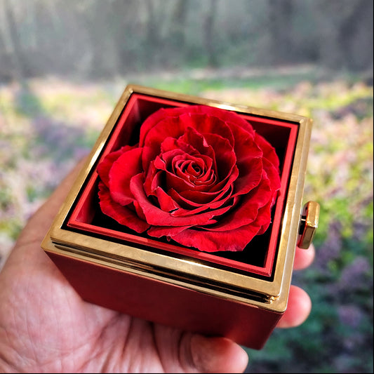 TEST PRODUCT - LOVE KNOT WITH ROTATING ROSE GIFT BOX